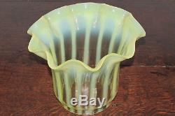 Arts & crafts Art Nouveau Vaseline glass tulip shape large oil lamp shade