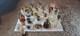 Lot Of 23 Vintage Ceramic Glass Porcelain Oil Lamps Miniature Hurricane Wick