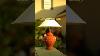 Making A 1000 Lamp For 6 Diy Terracotta Lamp Shorts