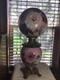 Rare Antique Signed Fostoria 24 GWTW Pink Green Floral Oil Lamp With Wick