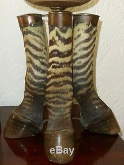 Rare Victorian Taxidermy Zebra Oil Lamp Rowland Ward Game Trophy